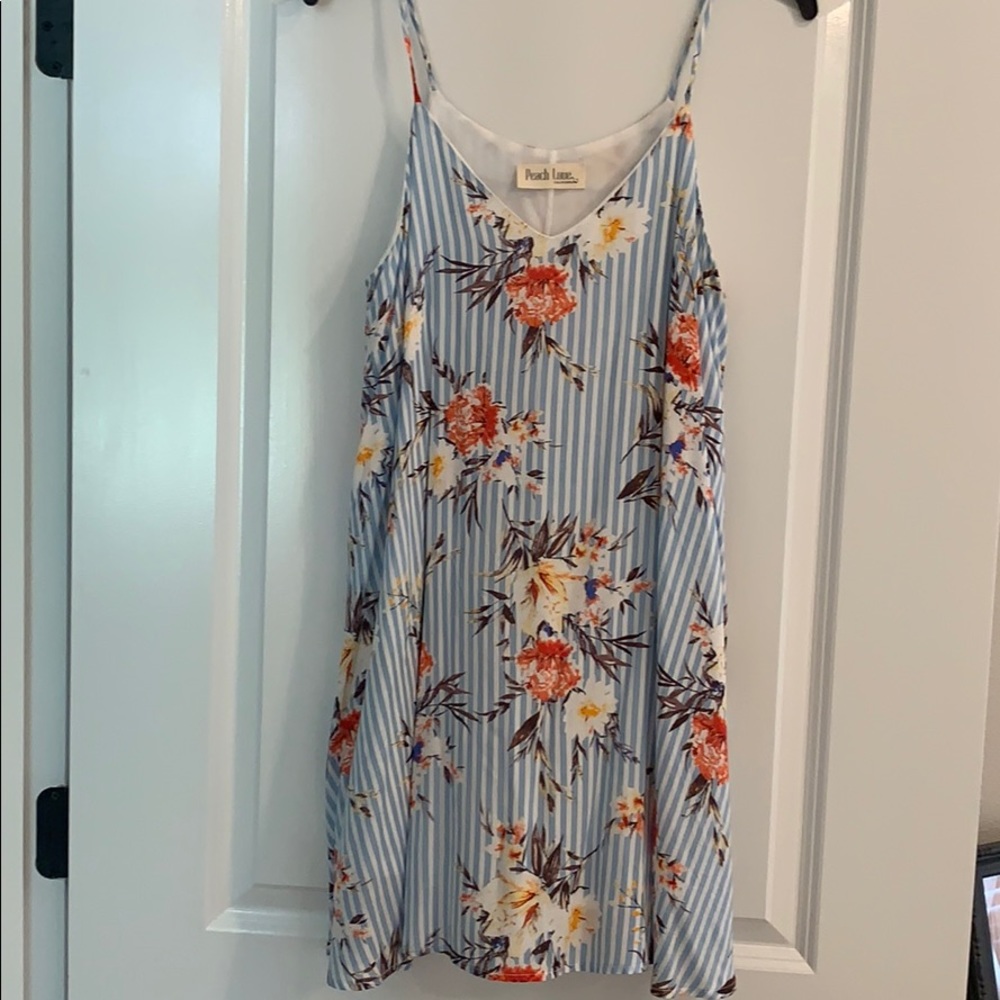 Floral Striped Swing Dress by Peach Love